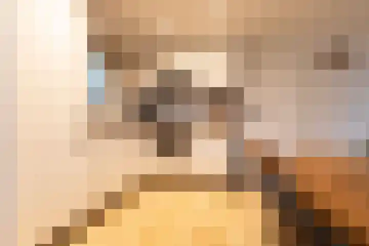 Speulderbosweg 57 B26 Garderen thumbnail 14
