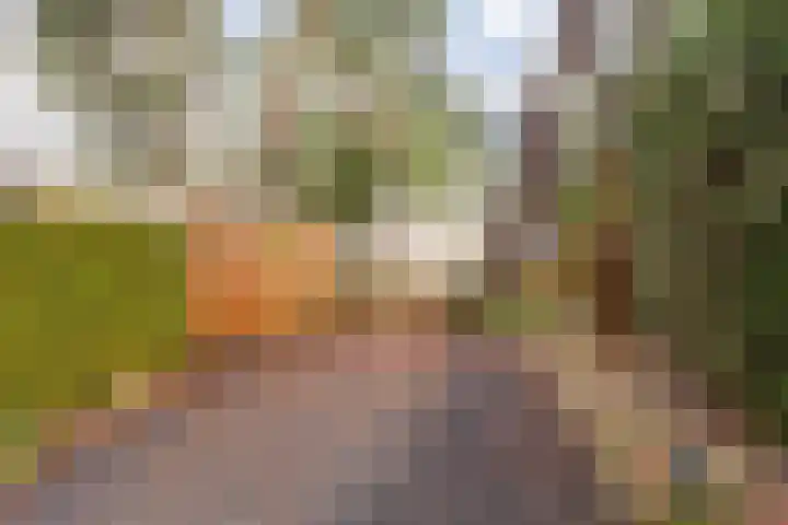 Speulderbosweg 57 B26 Garderen thumbnail 24