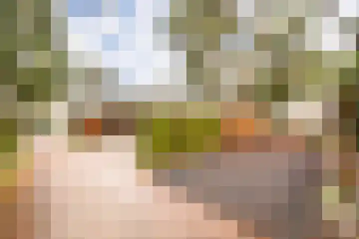 Speulderbosweg 57 B26 Garderen thumbnail 25