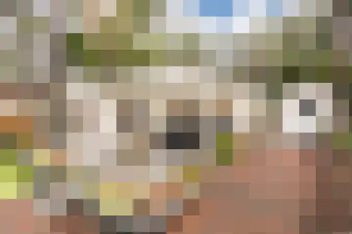 Speulderbosweg 57 B26 Garderen thumbnail 4