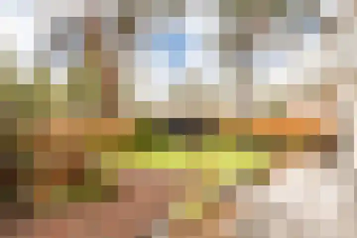 Speulderbosweg 57 B26 Garderen thumbnail 5