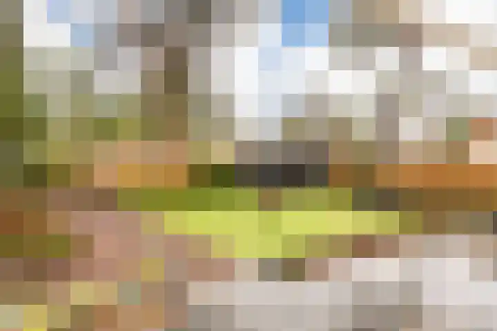 Speulderbosweg 57 B26 Garderen thumbnail 6