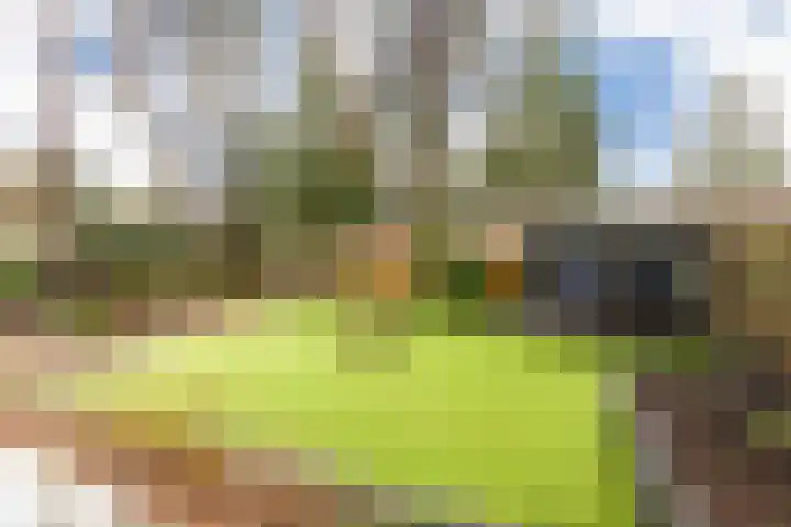 Speulderbosweg 57 B26 Garderen thumbnail 7