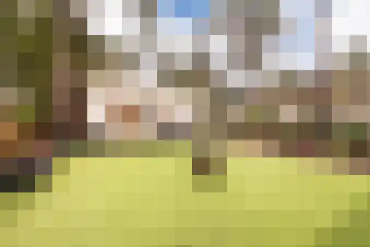 Speulderbosweg 57 B26 Garderen thumbnail 8