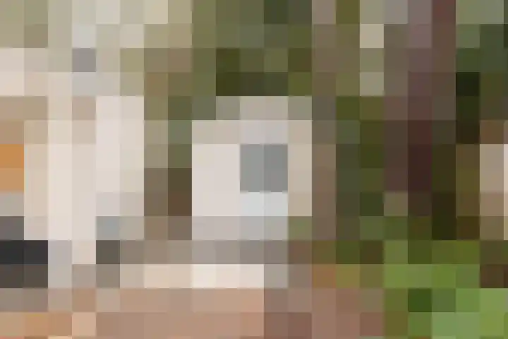 Speulderbosweg 57 B26 Garderen thumbnail 9