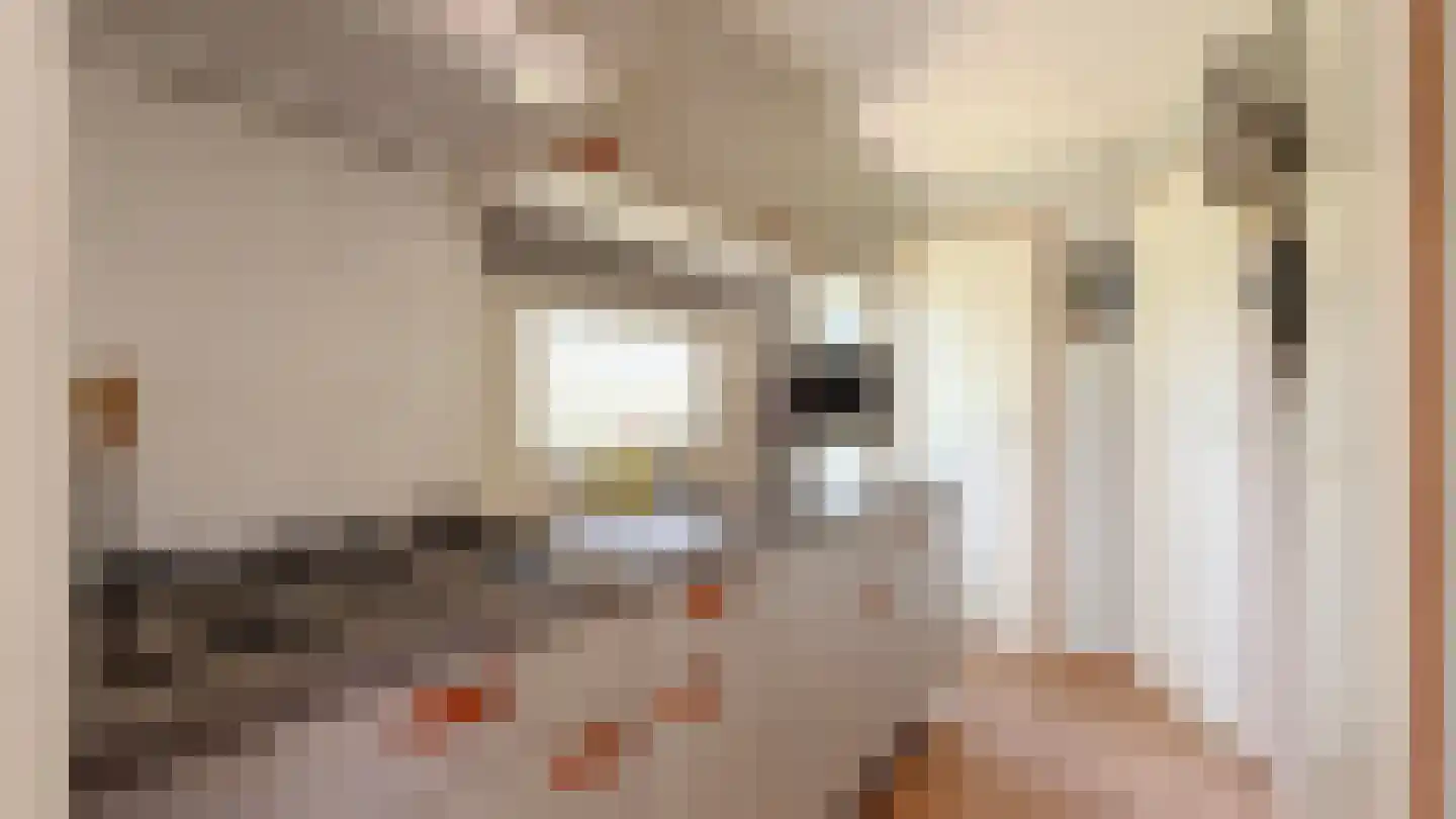 Speulderbosweg 57 B28 Garderen thumbnail 15