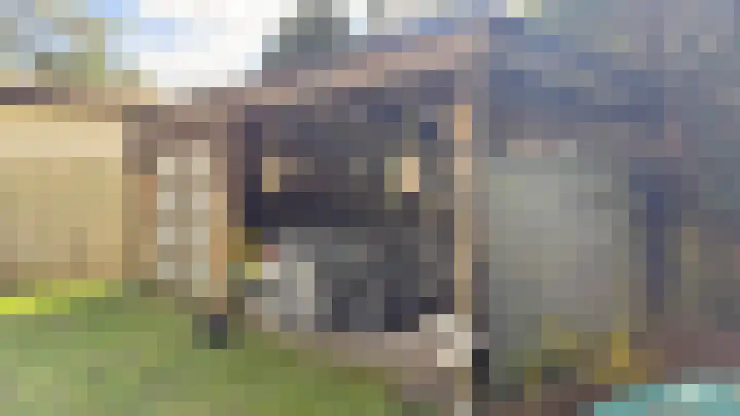 Speulderbosweg 57 B28 Garderen thumbnail 7