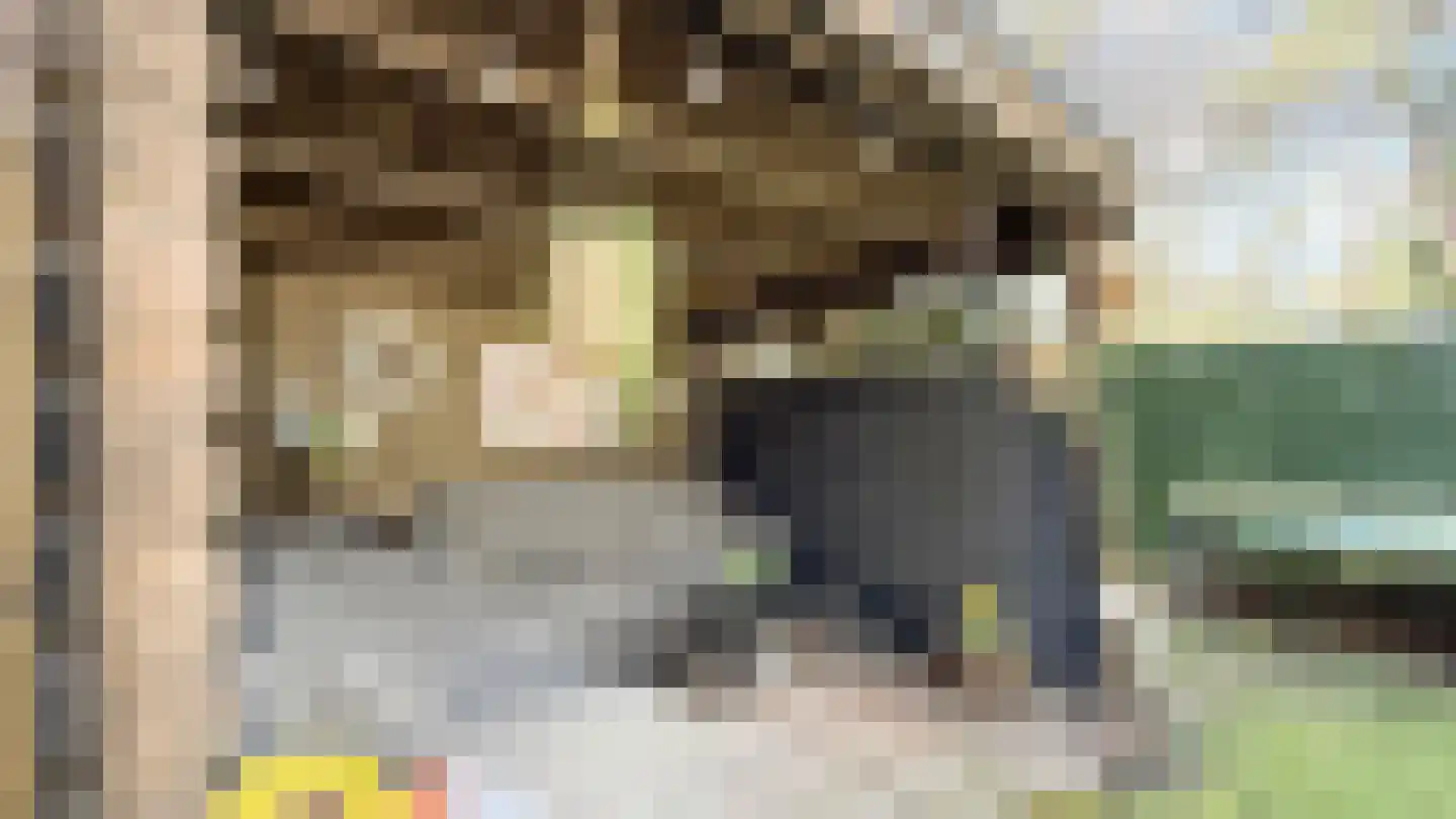 Speulderbosweg 57 B28 Garderen thumbnail 8