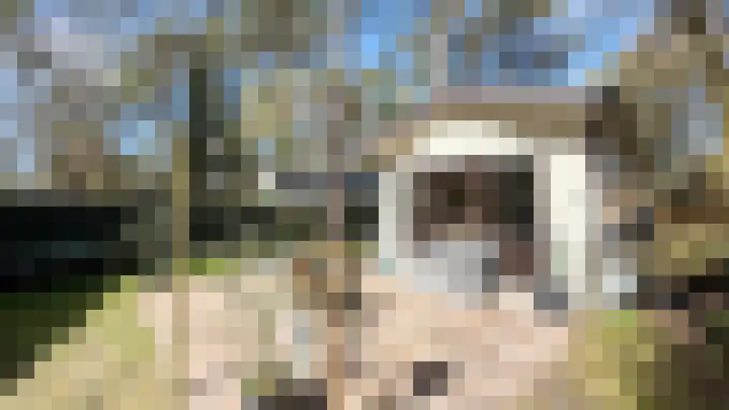 Speulderbosweg 57 B28 Garderen thumbnail 9