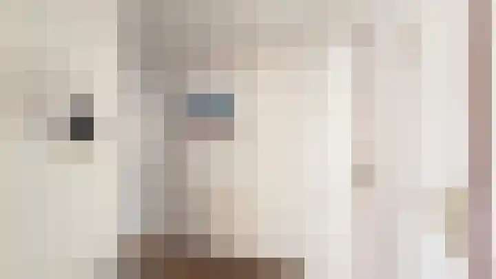 Speulderbosweg 57 B65 Garderen thumbnail 12