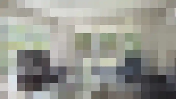 Speulderbosweg 57 B65 Garderen thumbnail 16