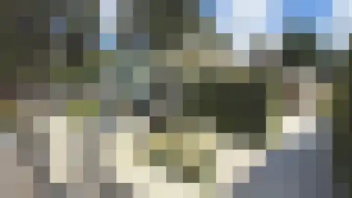 Speulderbosweg 57 B65 Garderen thumbnail 5