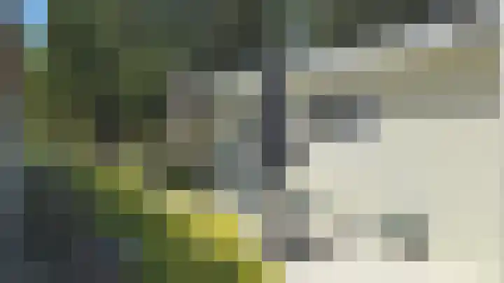 Speulderbosweg 57 B65 Garderen thumbnail 7