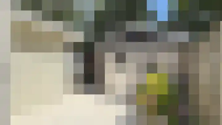 Speulderbosweg 57 B65 Garderen thumbnail 9