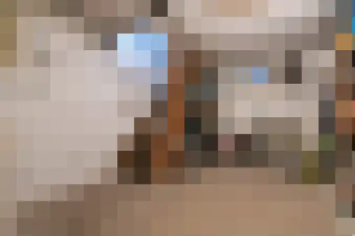 Speulderweg 7 Garderen thumbnail 31