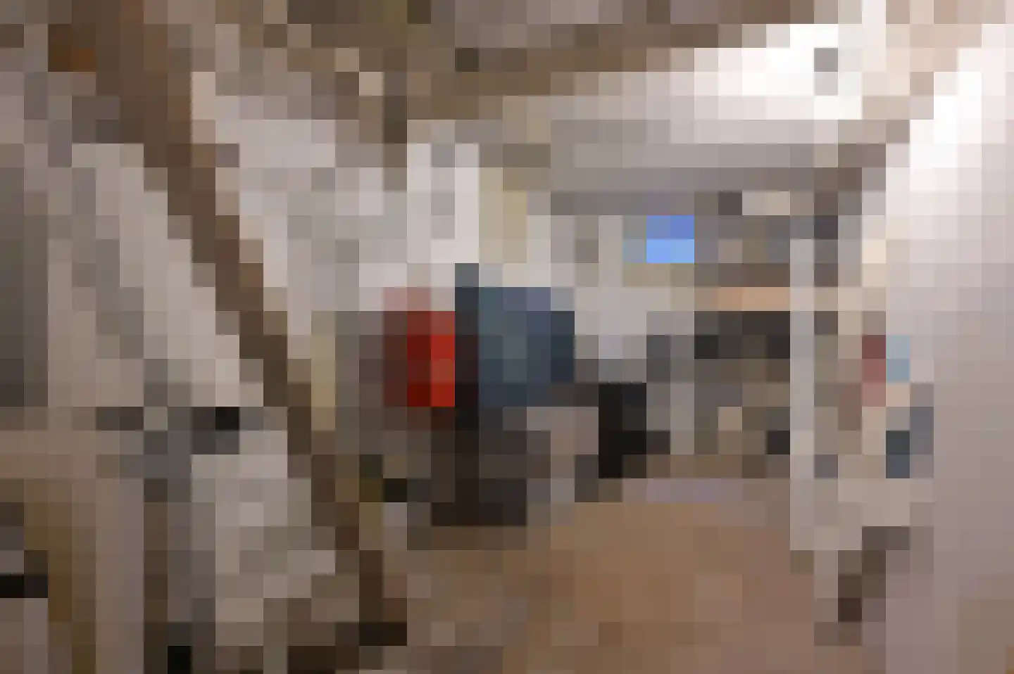 Speulderweg 7 Garderen thumbnail 33