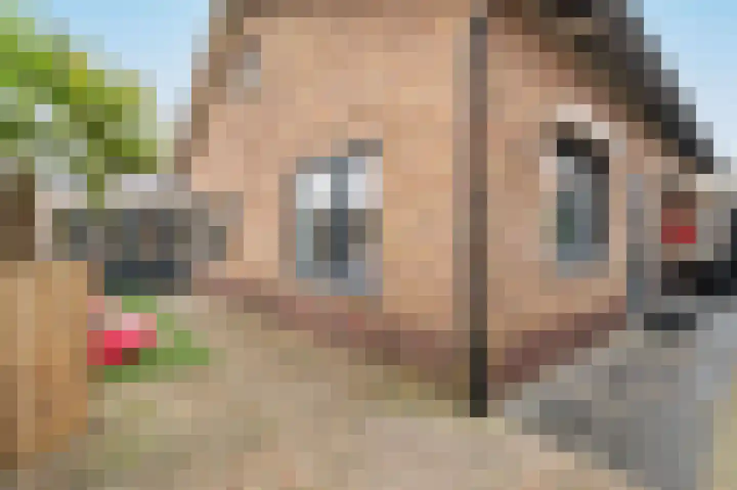 Speulderweg 7 Garderen thumbnail 37