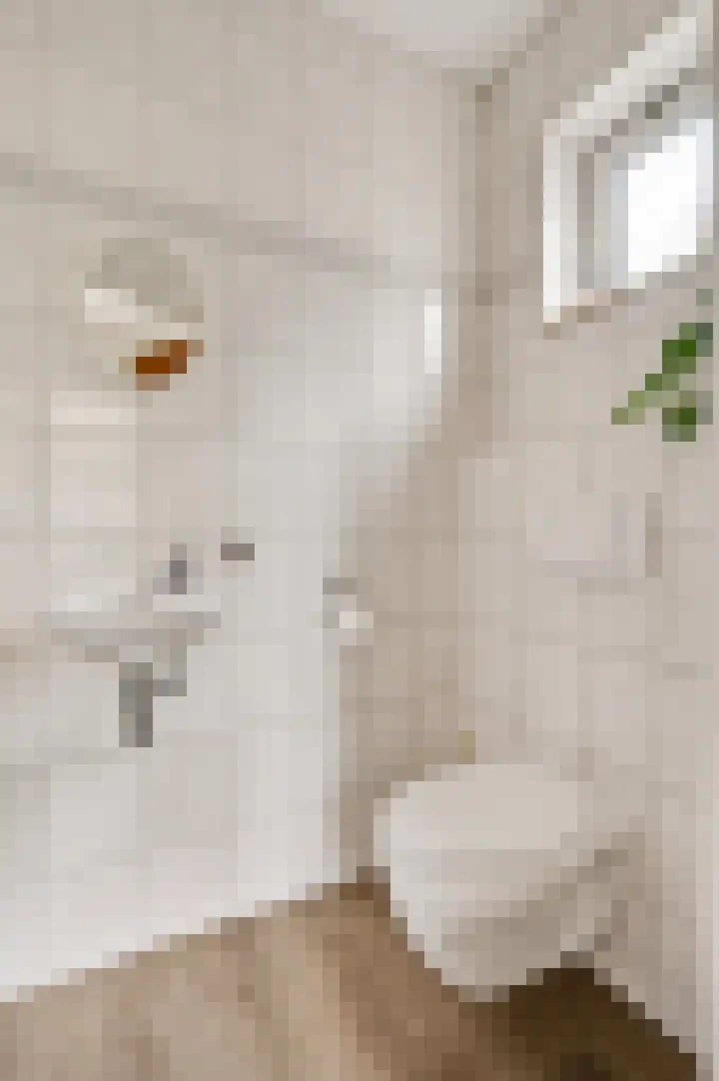 Speulhofsbaan 22 Meterik thumbnail 11