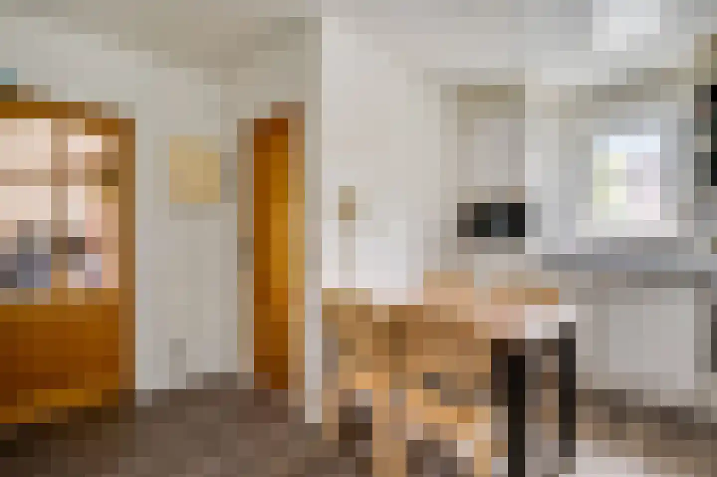 Speulhofsbaan 22 Meterik thumbnail 19