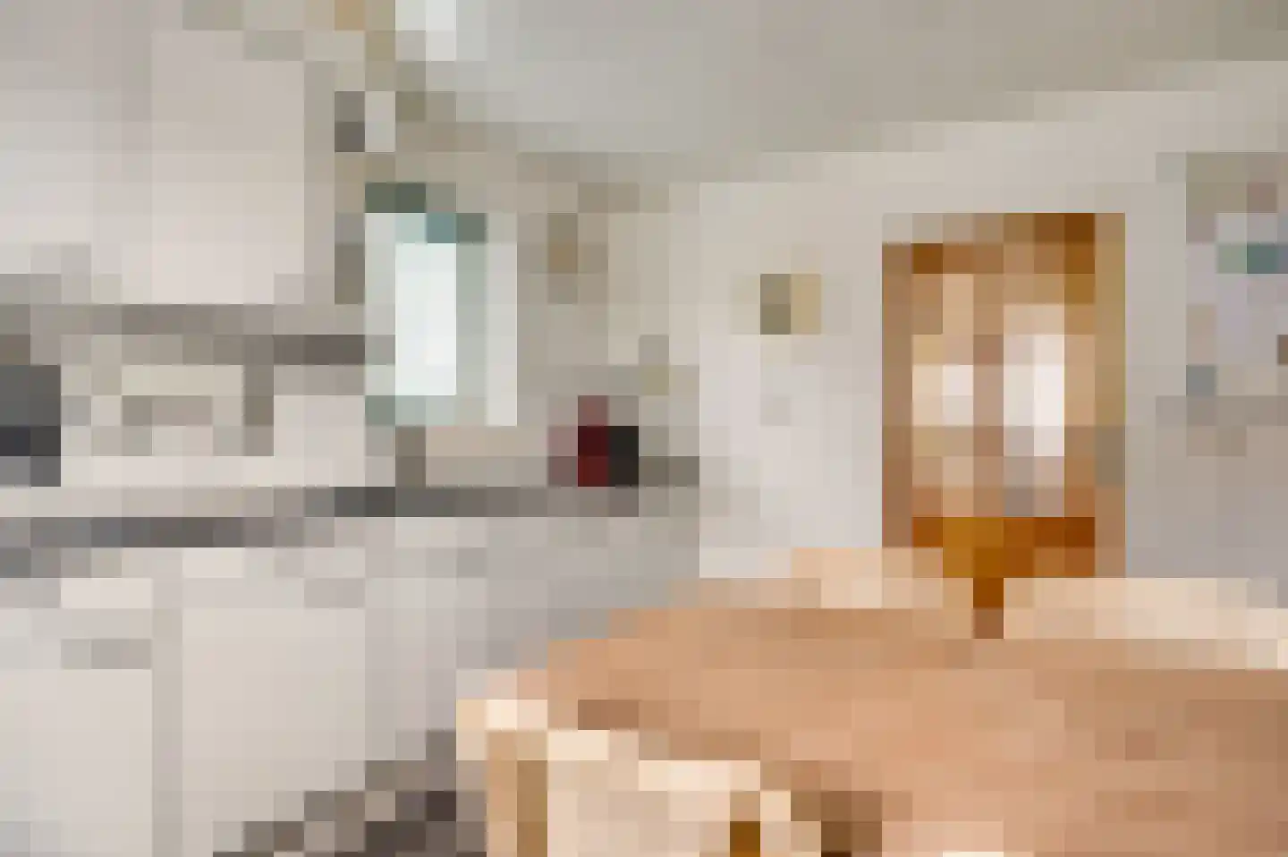 Speulhofsbaan 22 Meterik thumbnail 20