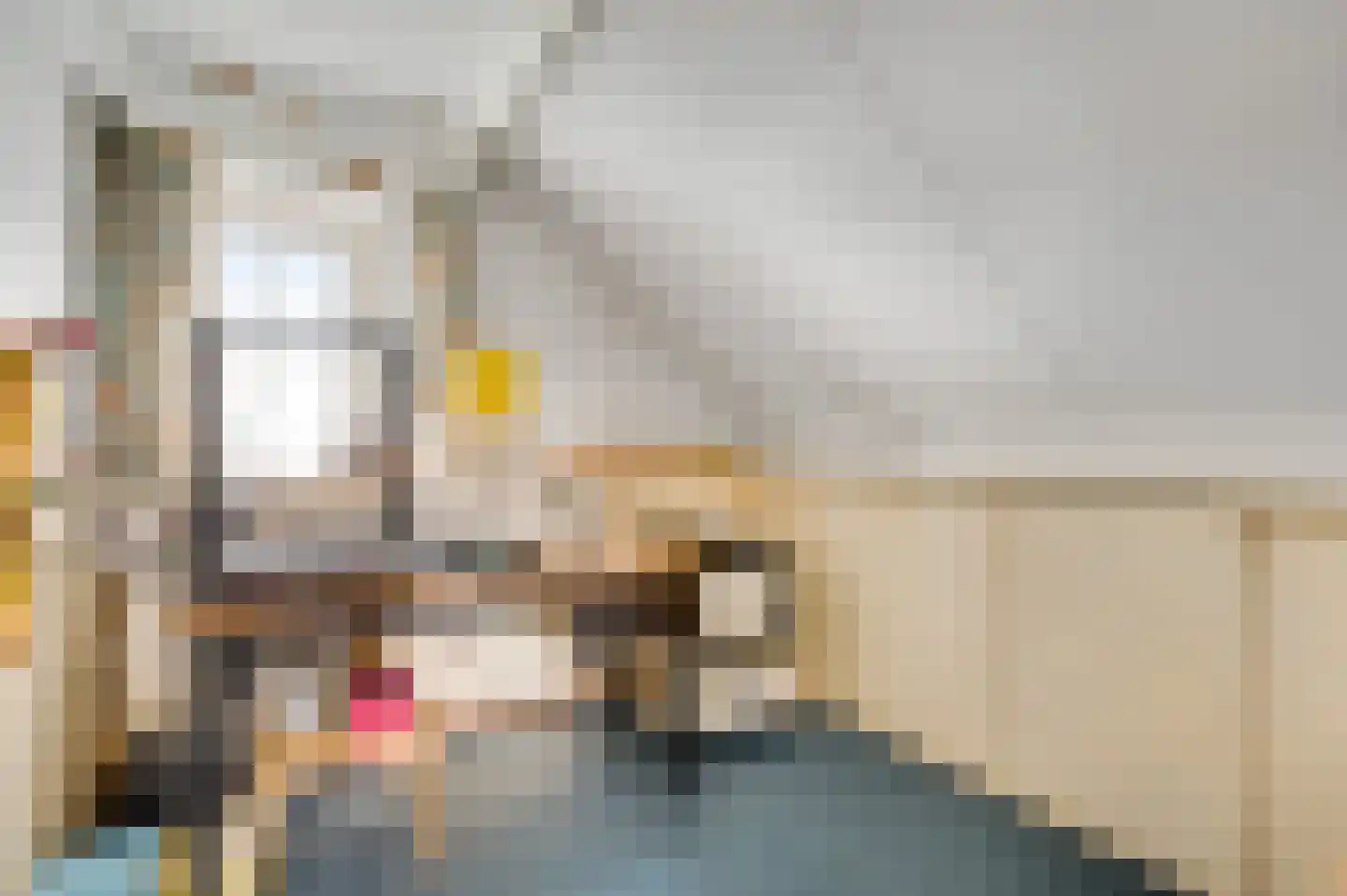 Speulhofsbaan 22 Meterik thumbnail 30