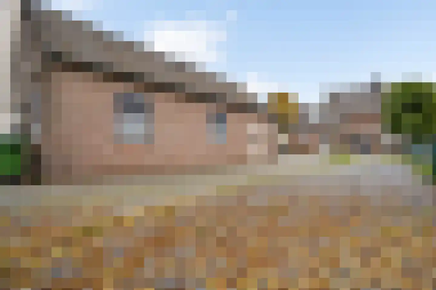 Speulhofsbaan 22 Meterik thumbnail 38
