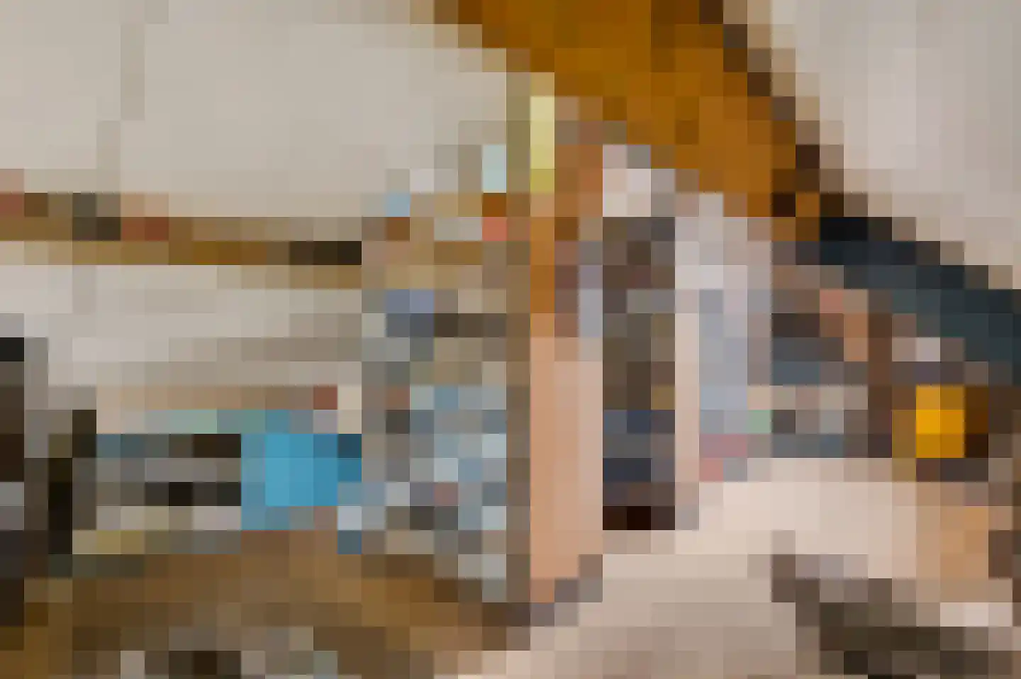 Speulhofsbaan 22 Meterik thumbnail 47