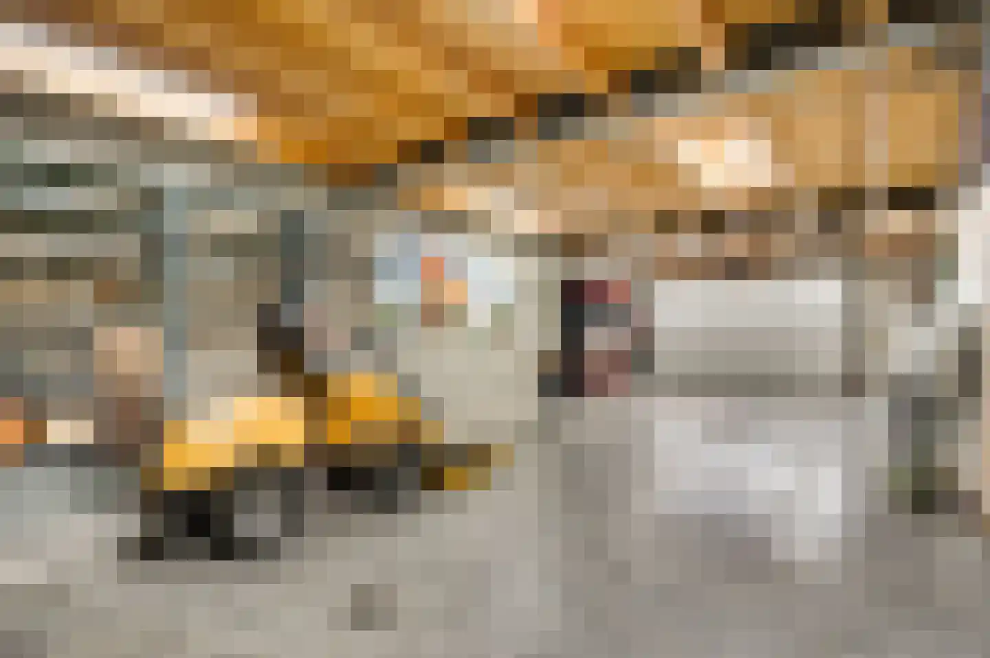 Speulhofsbaan 22 Meterik thumbnail 51