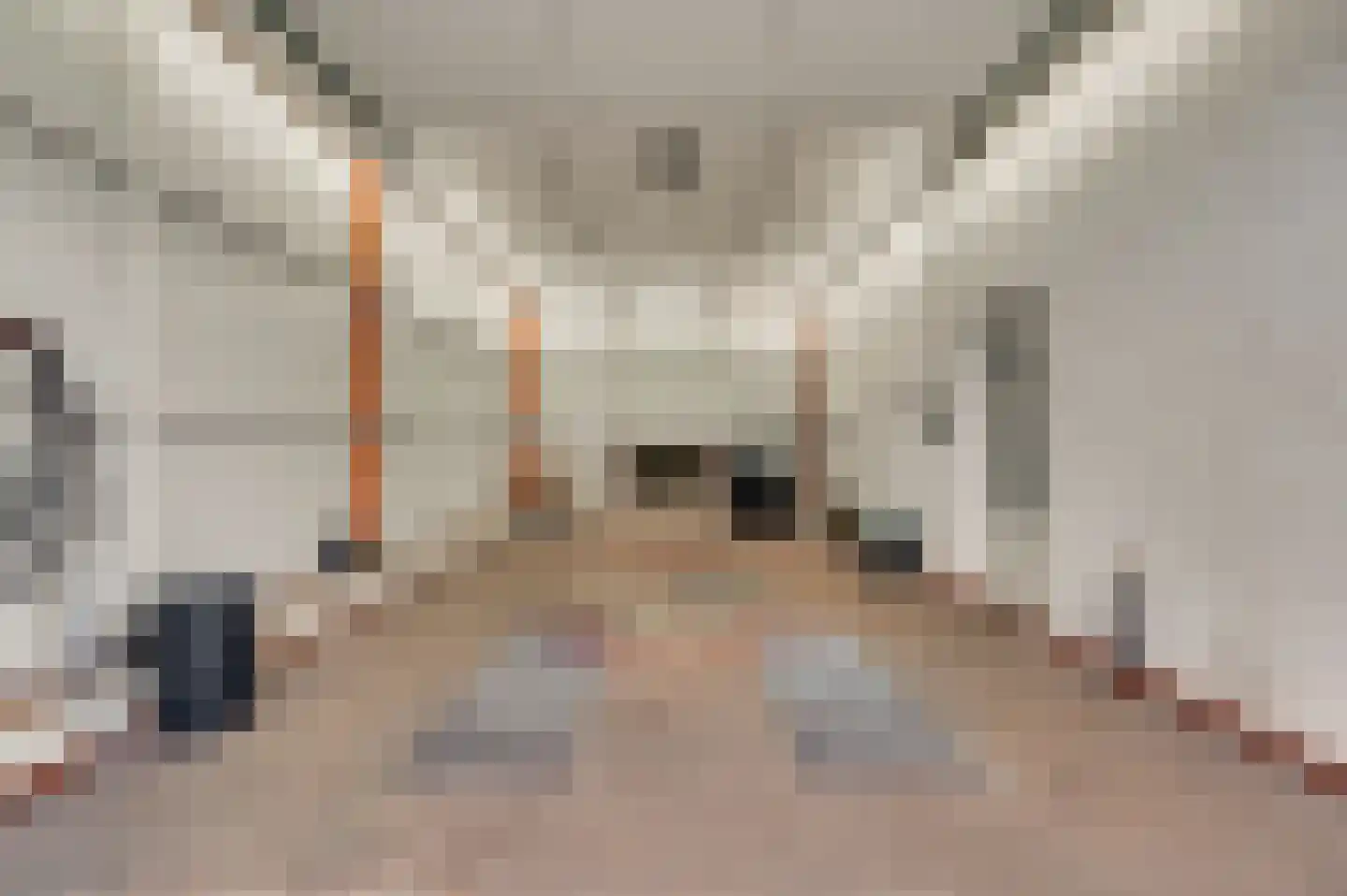 Speulhofsbaan 22 Meterik thumbnail 52