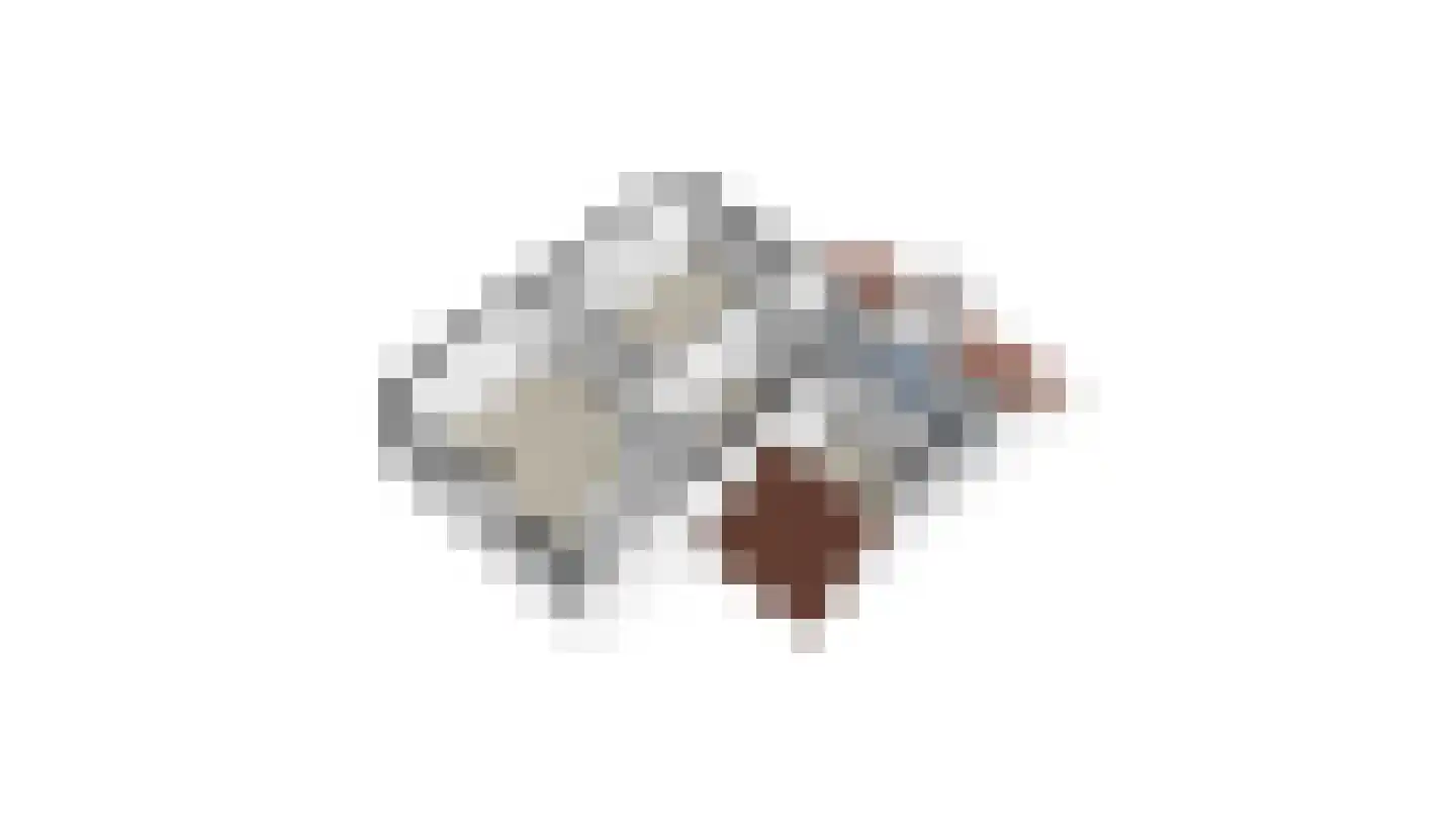 Speulhofsbaan 22 Meterik thumbnail 55