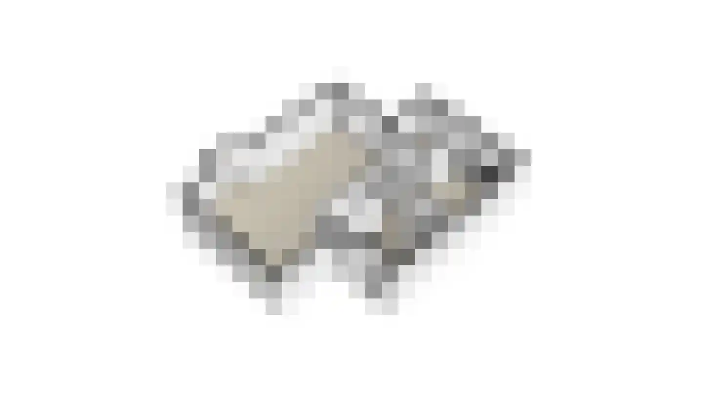 Speulhofsbaan 22 Meterik thumbnail 56