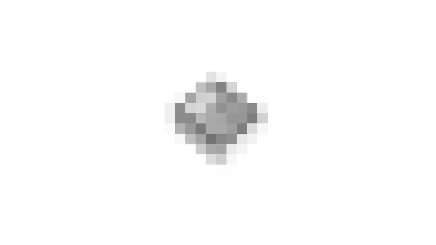 Speulhofsbaan 22 Meterik thumbnail 59