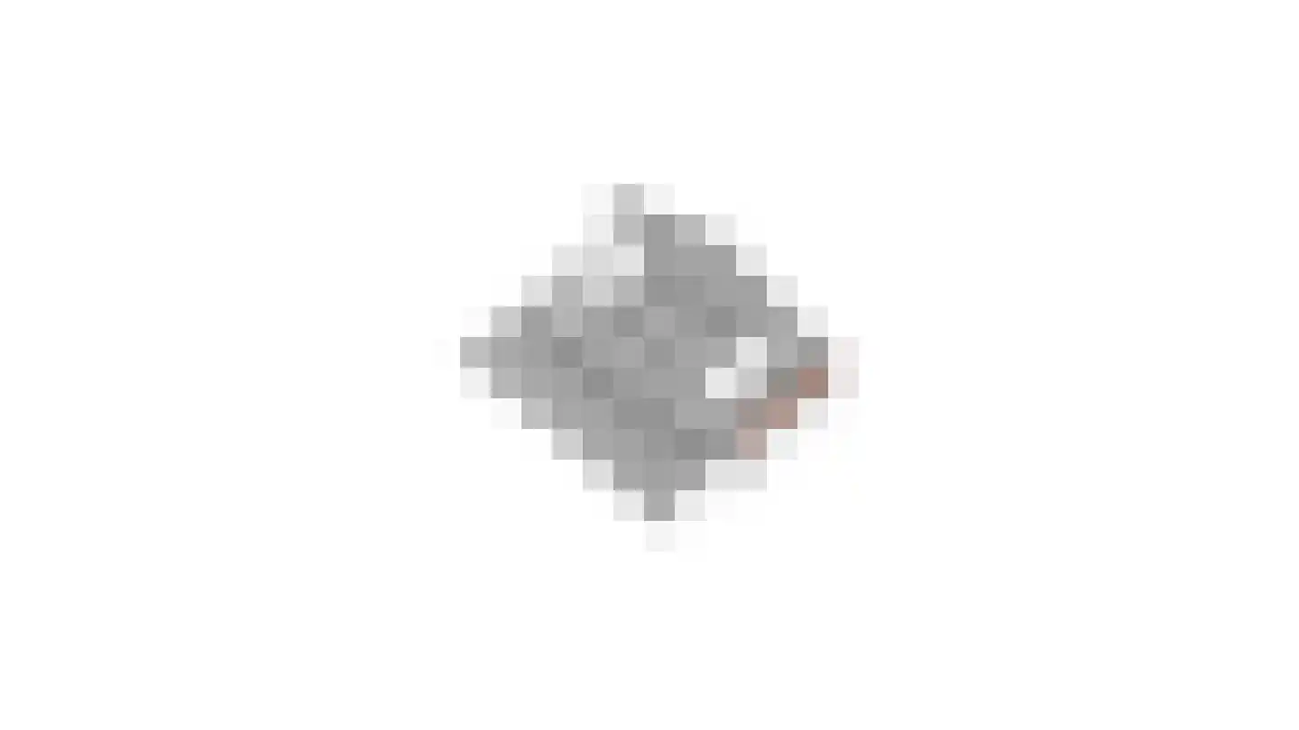 Speulhofsbaan 22 Meterik thumbnail 69