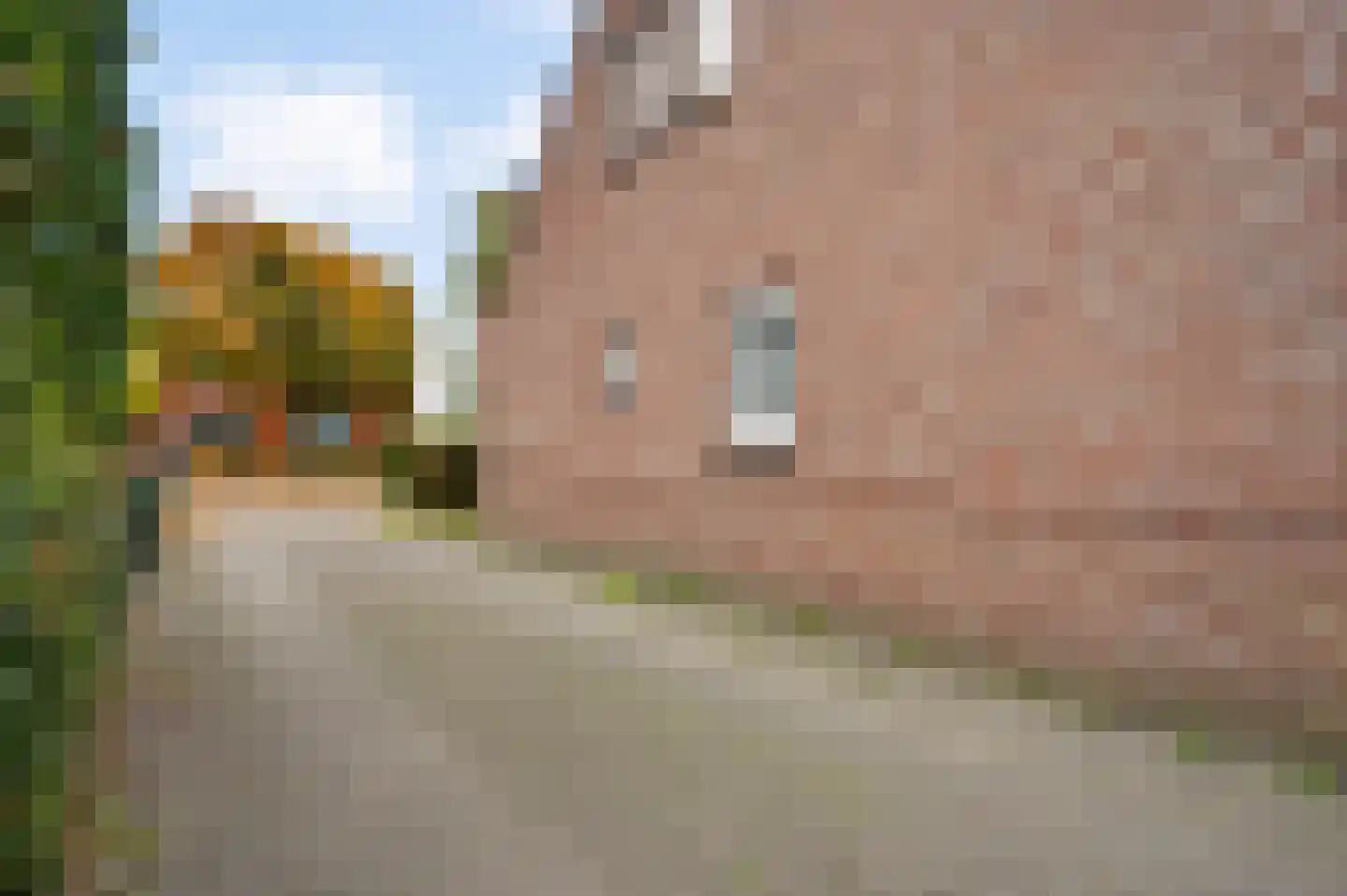 Speulhofsbaan 22 Meterik thumbnail 7