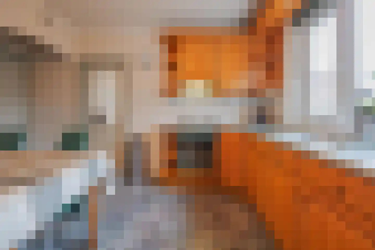 Speulhofsbaan 4 Meterik thumbnail 12