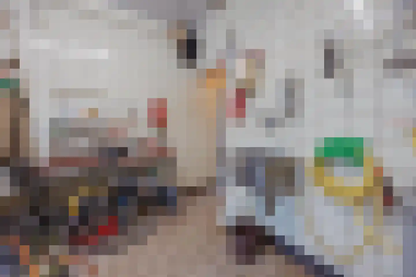 Speulhofsbaan 4 Meterik thumbnail 21