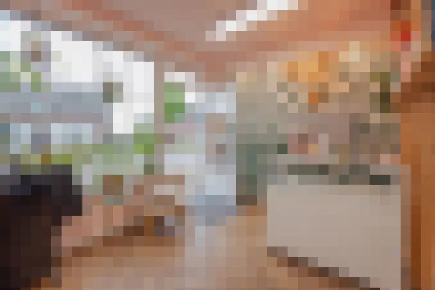 Speulhofsbaan 4 Meterik thumbnail 24