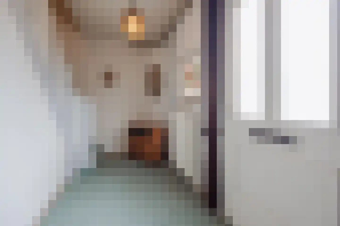 Speulhofsbaan 4 Meterik thumbnail 8