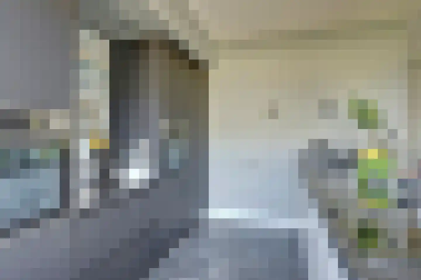 Speulmanweg 11 Beusichem thumbnail 20
