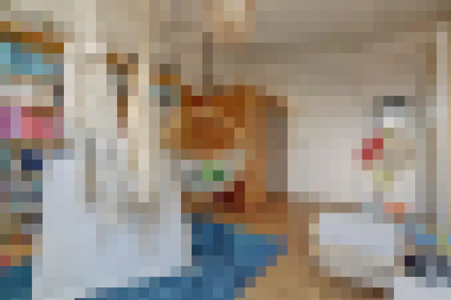 Speulmanweg 11 Beusichem thumbnail 23