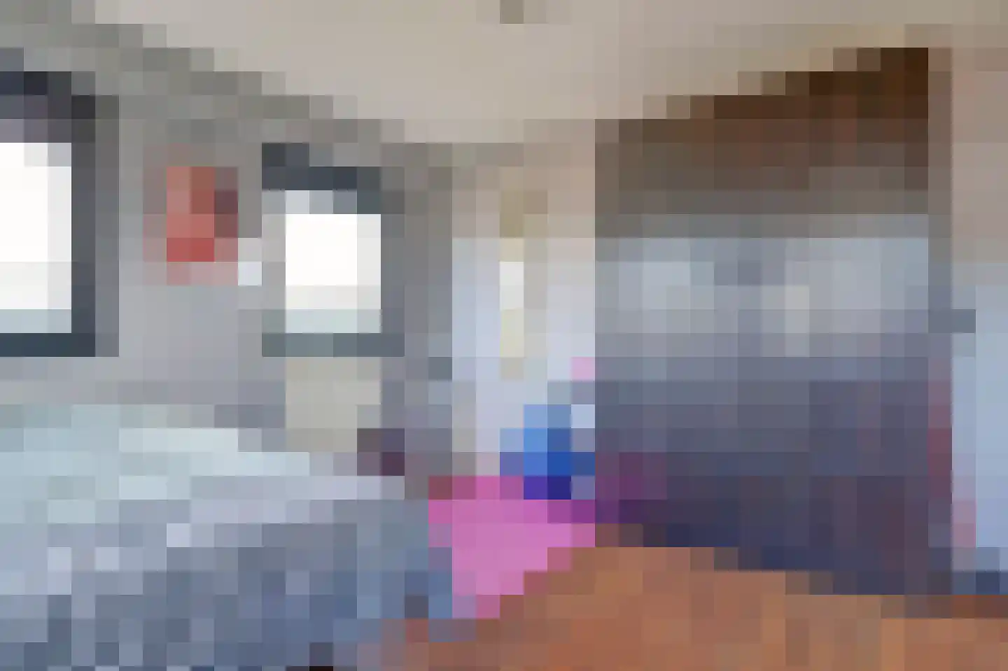 Speulmanweg 11 Beusichem thumbnail 27