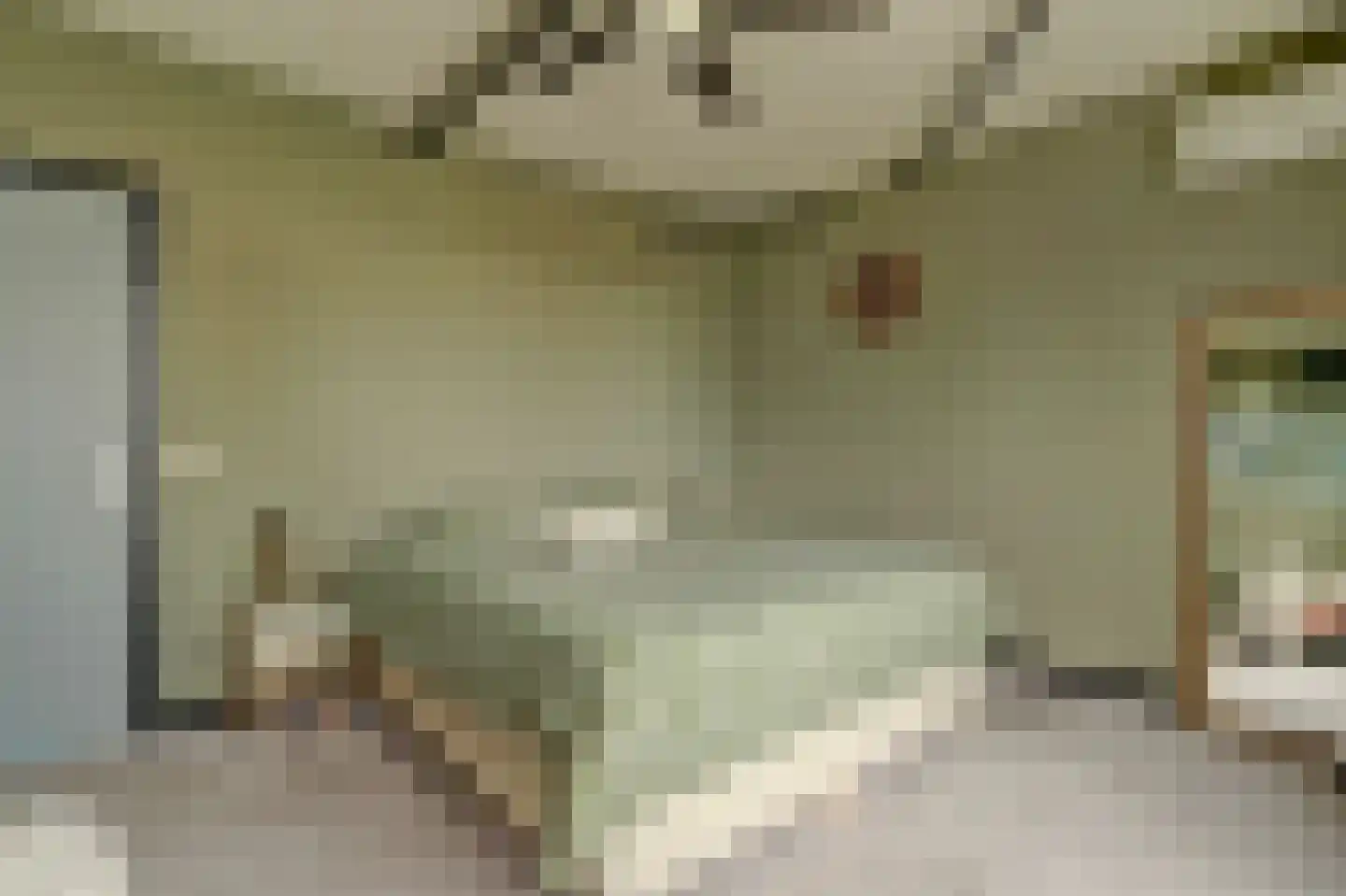 Speulmanweg 11 Beusichem thumbnail 31