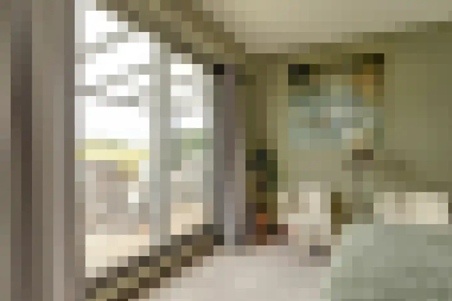 Speulmanweg 11 Beusichem thumbnail 32