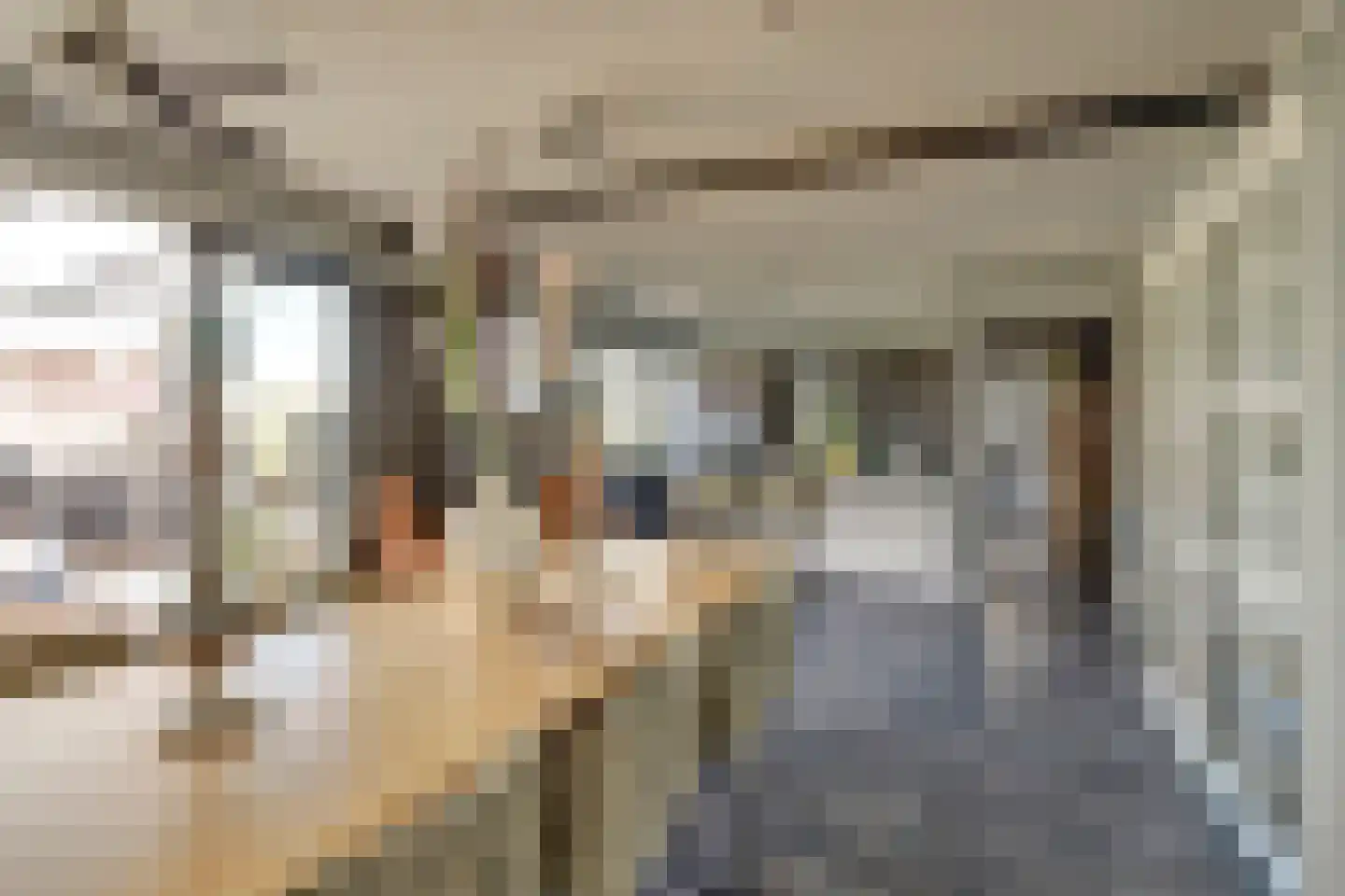Speulmanweg 11 Beusichem thumbnail 34