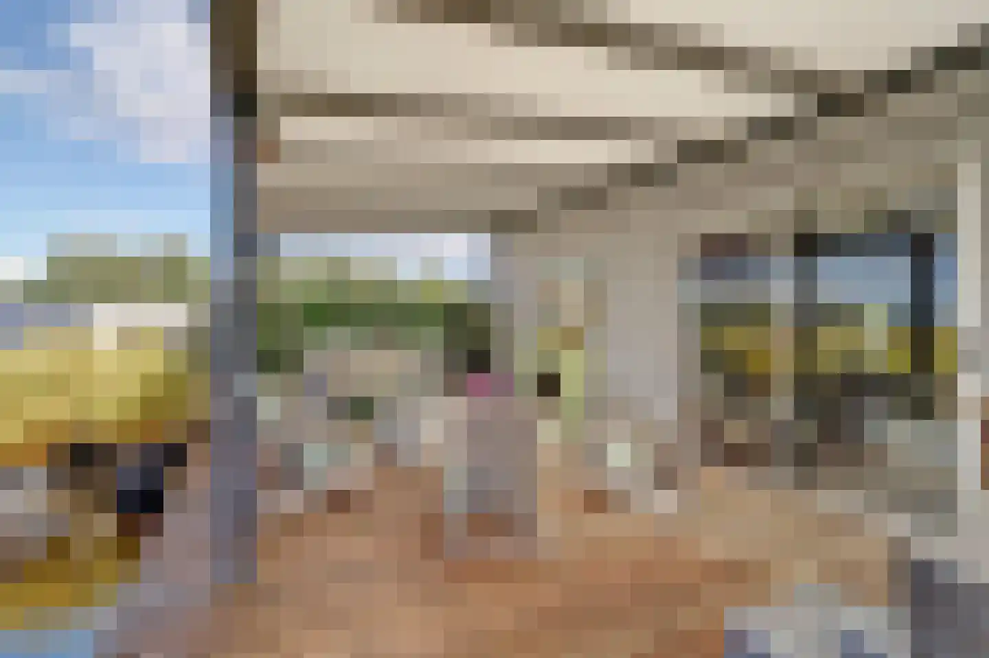 Speulmanweg 11 Beusichem thumbnail 37