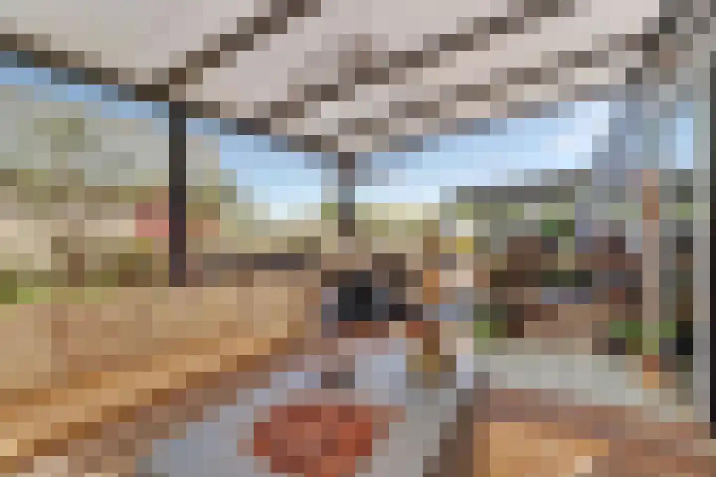 Speulmanweg 11 Beusichem thumbnail 4