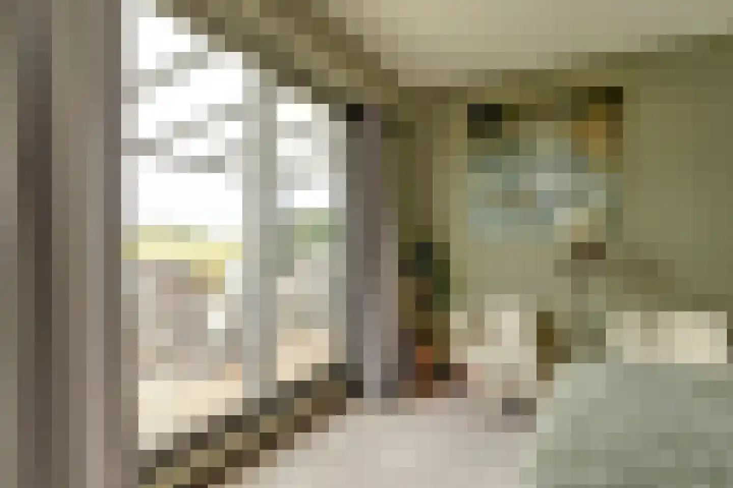 Speulmanweg 11 Beusichem thumbnail 42
