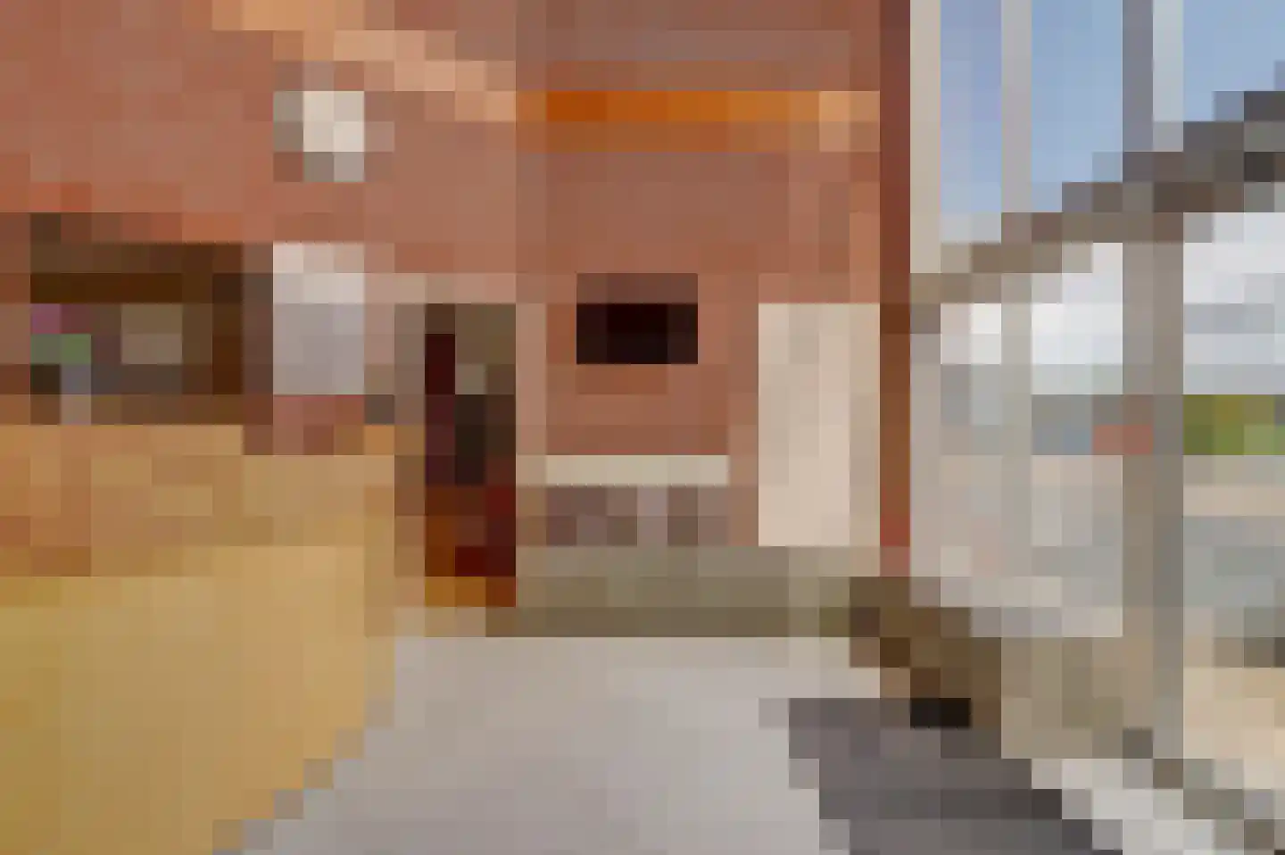 Speulmanweg 11 Beusichem thumbnail 5