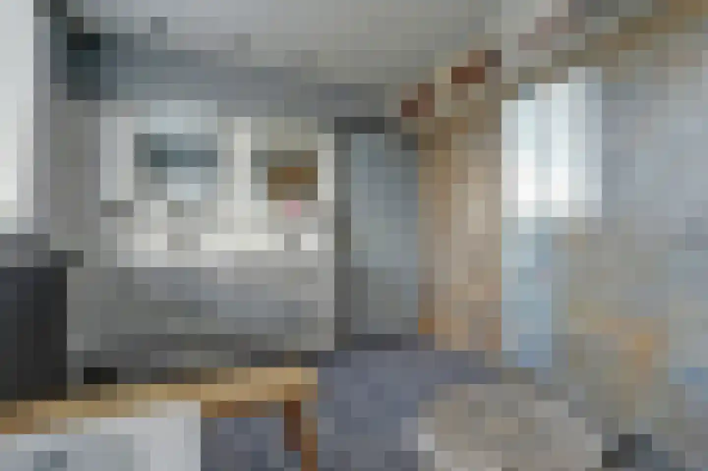 Speulmanweg 11 Beusichem thumbnail 50