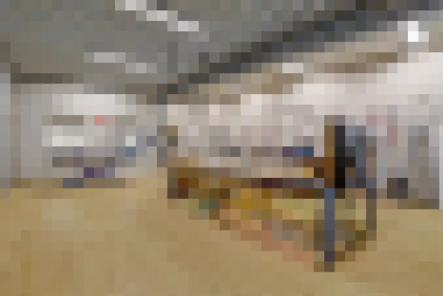 Speulmanweg 11 Beusichem thumbnail 53